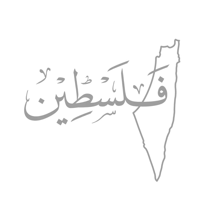 Palestine map car dekor