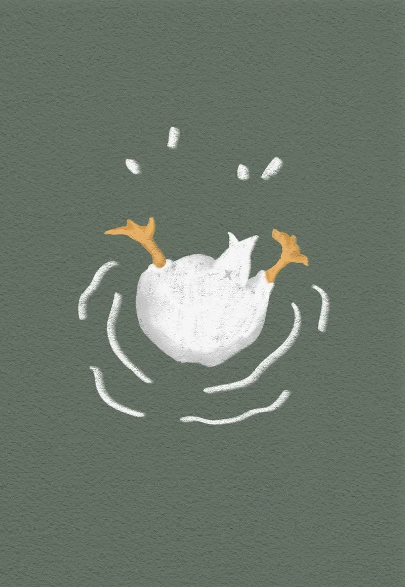 Funny duck